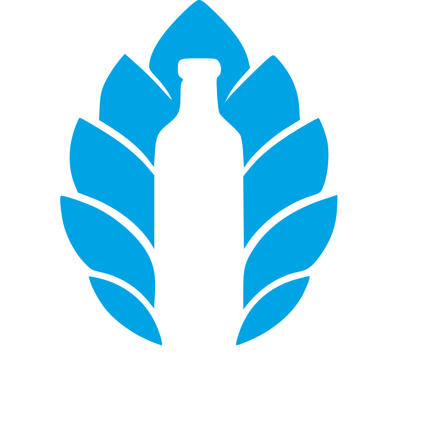 Kombucha Bottle Leaf Logo #00a3e4