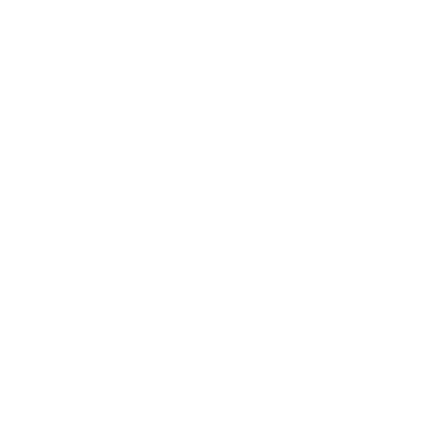 Vinyl Record Concentric Logo #ffffff