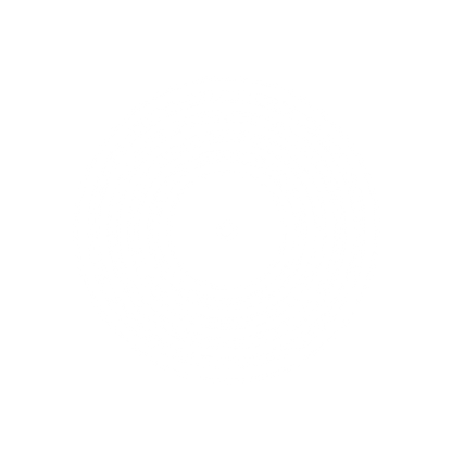 Vinyl Record Concentric Logo #ffffff