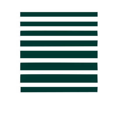 Horizontal Stripes Polaroid Logo #003932