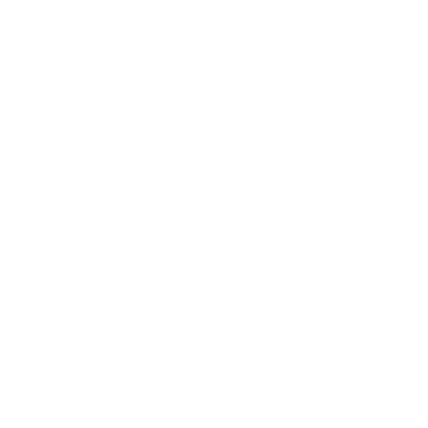 Vinyl Record DJ Logo #ffffff