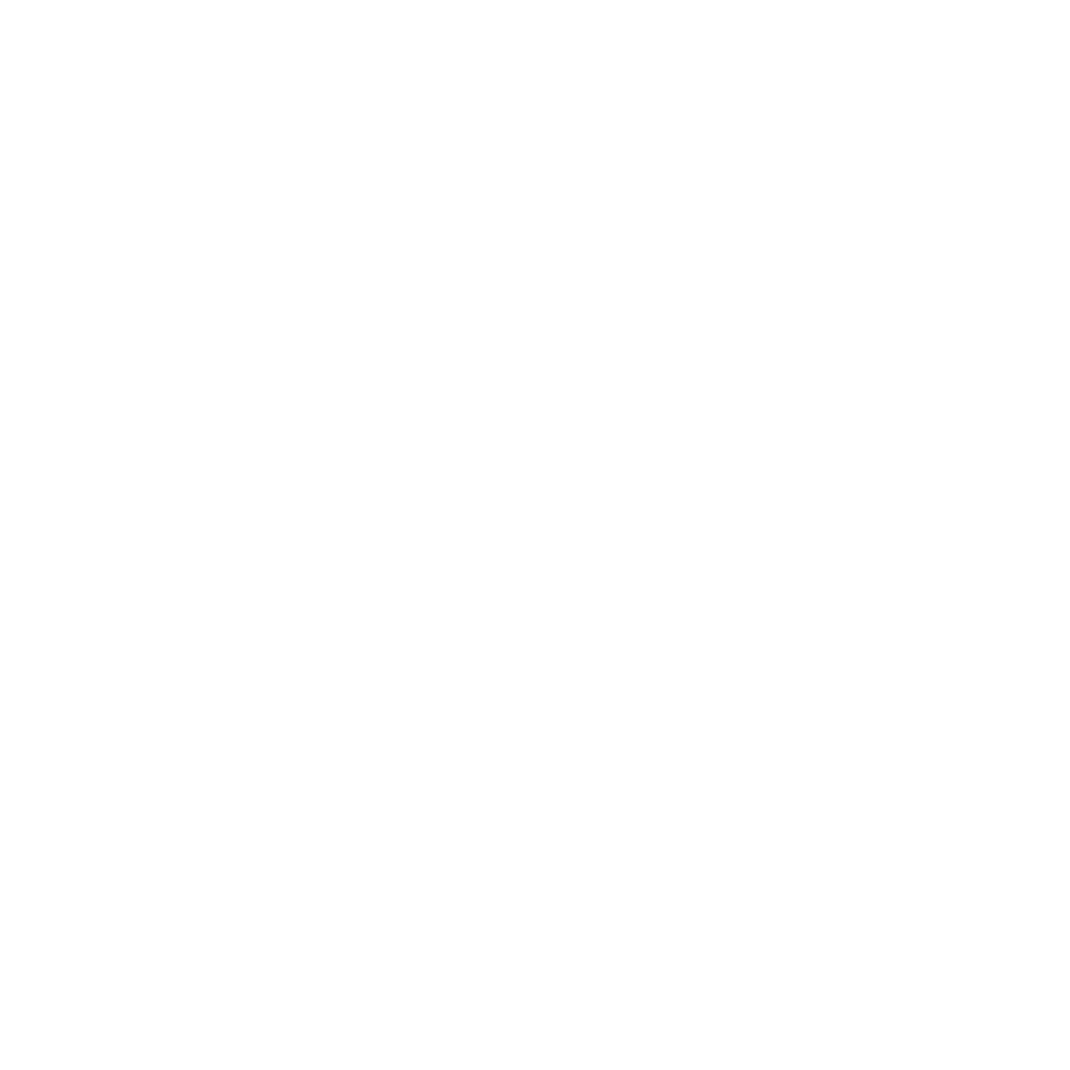Vinyl Record DJ Logo #ffffff