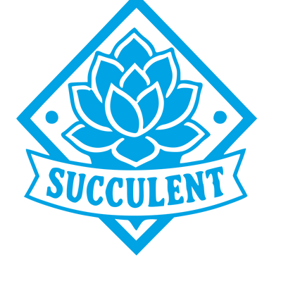 Succulent Flower Diamond Badge Logo #00a3e4