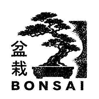 Bonsai Tree Riso Print Logo