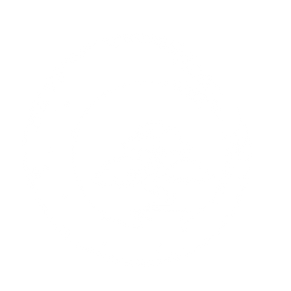 Bonsai Enso Circle Logo #ffffff