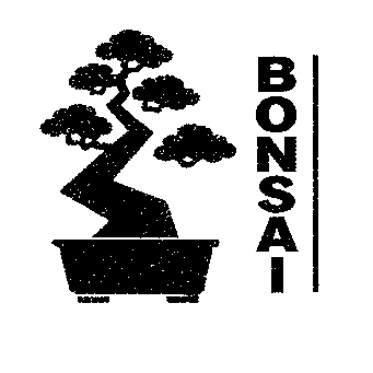 Bonsai Tree Wordmark Logo