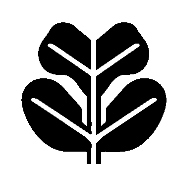 Fiddle Leaf Fig Logo