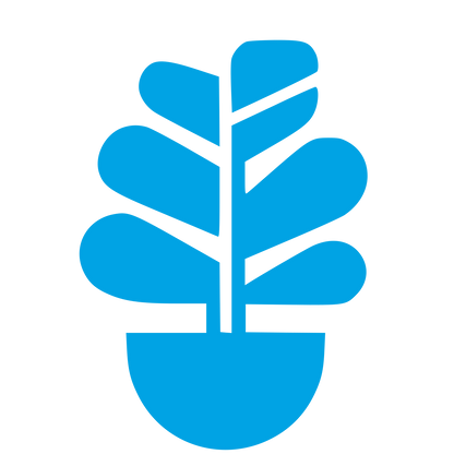 Fiddle Leaf Fig Plant Logo #00a3e4