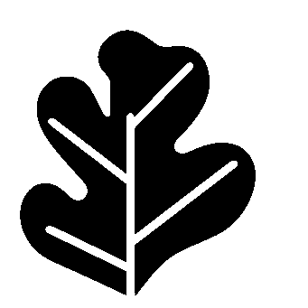 Fiddle Leaf Fig Bold Logo