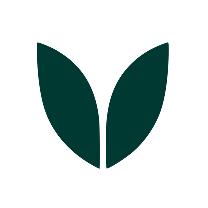 Twin Leaves Plant Logo #003932