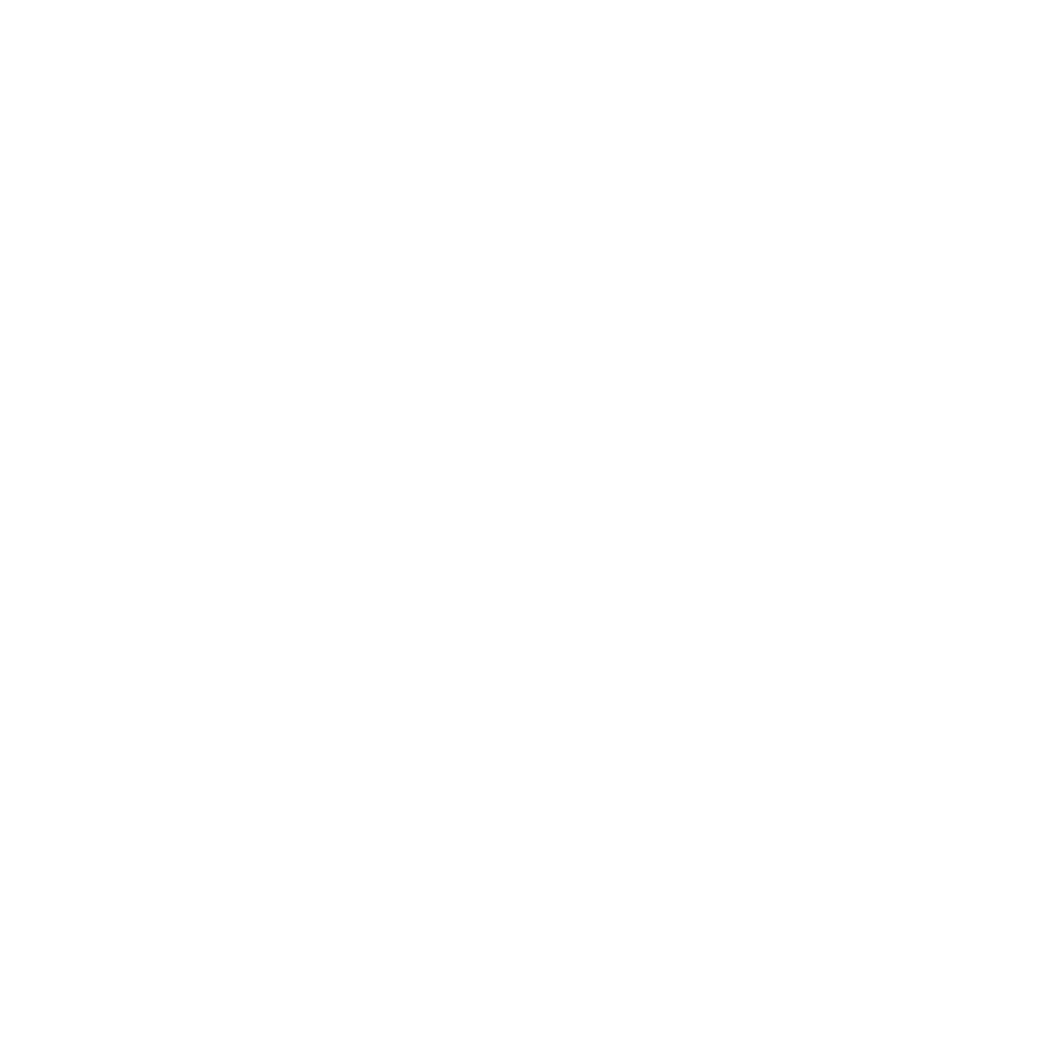 Bauhaus Bird Logo #ffffff