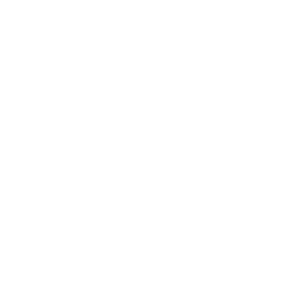 Bauhaus Bird Logo #ffffff
