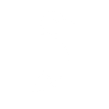 Bauhaus Bird Logo #ffffff