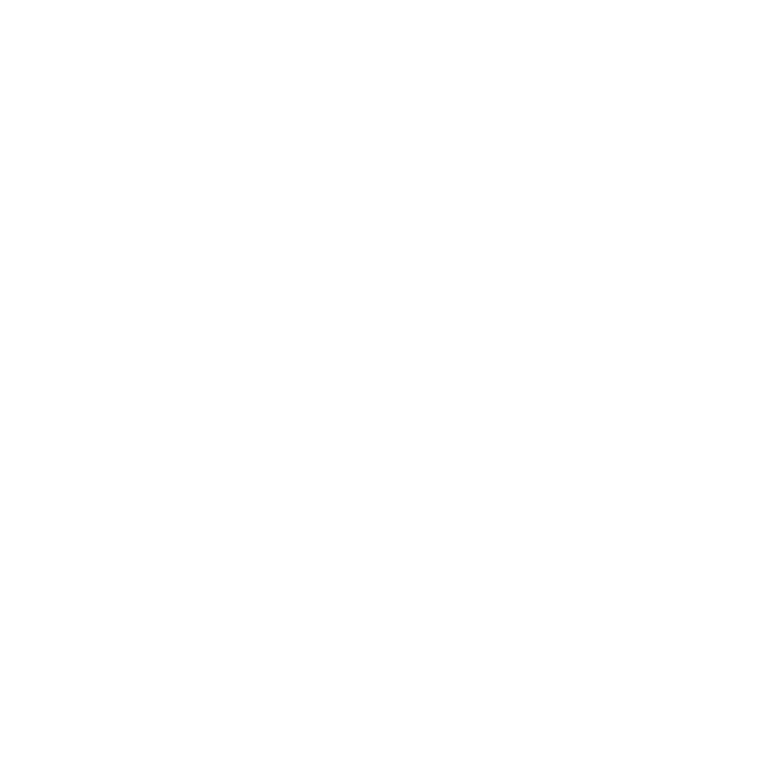 Bauhaus Bird in Flight Logo #ffffff