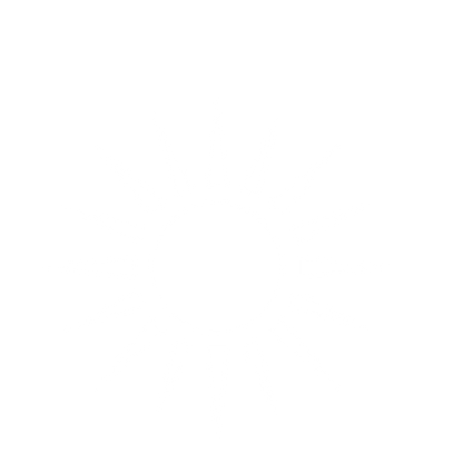 Spiked Sun Ray Logo #ffffff