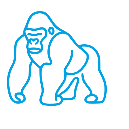Monoline Gorilla Logo #00a3e4