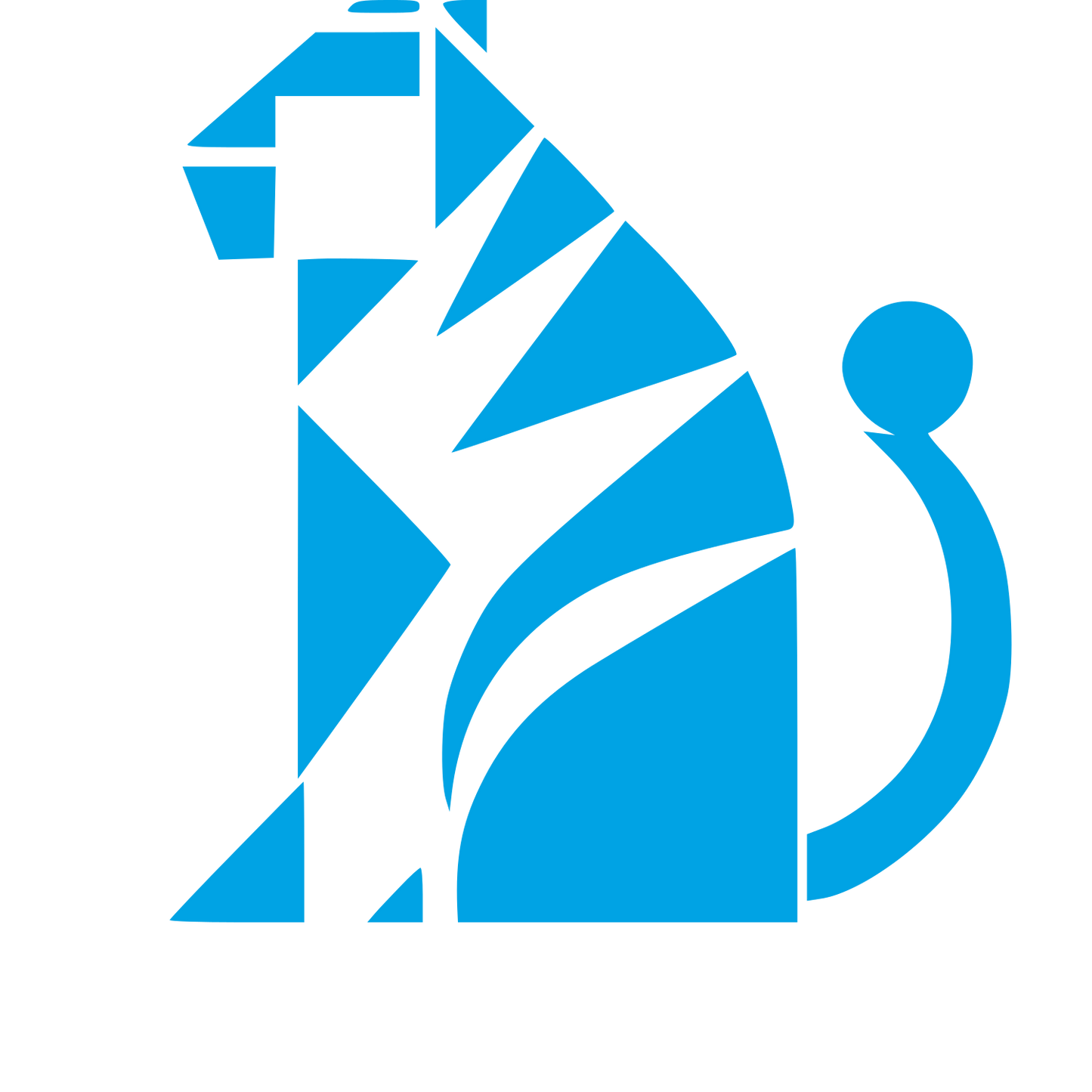 Bauhaus Tiger Logo #00a3e4