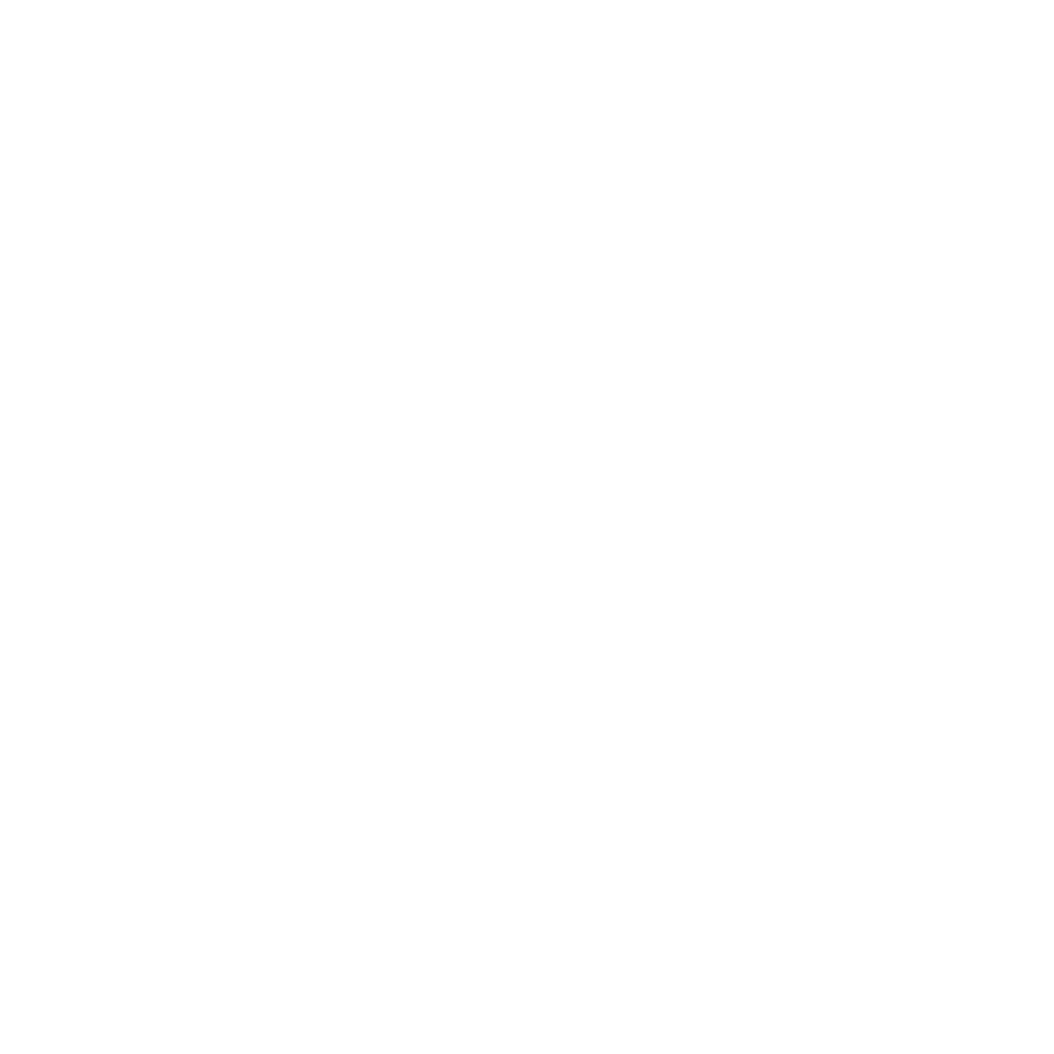 Brutalist Pixel Bird Logo #ffffff