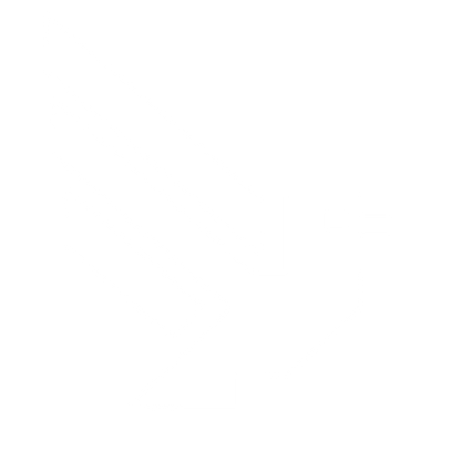 Brutalist Pixel Bird Logo #ffffff