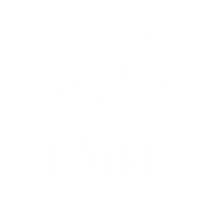 Sputnik Satellite Bold Logo #ffffff