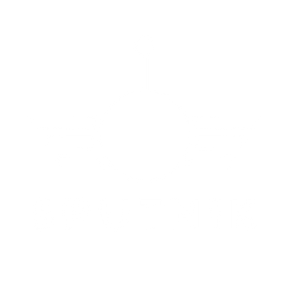 Sputnik Satellite Wings Logo #ffffff