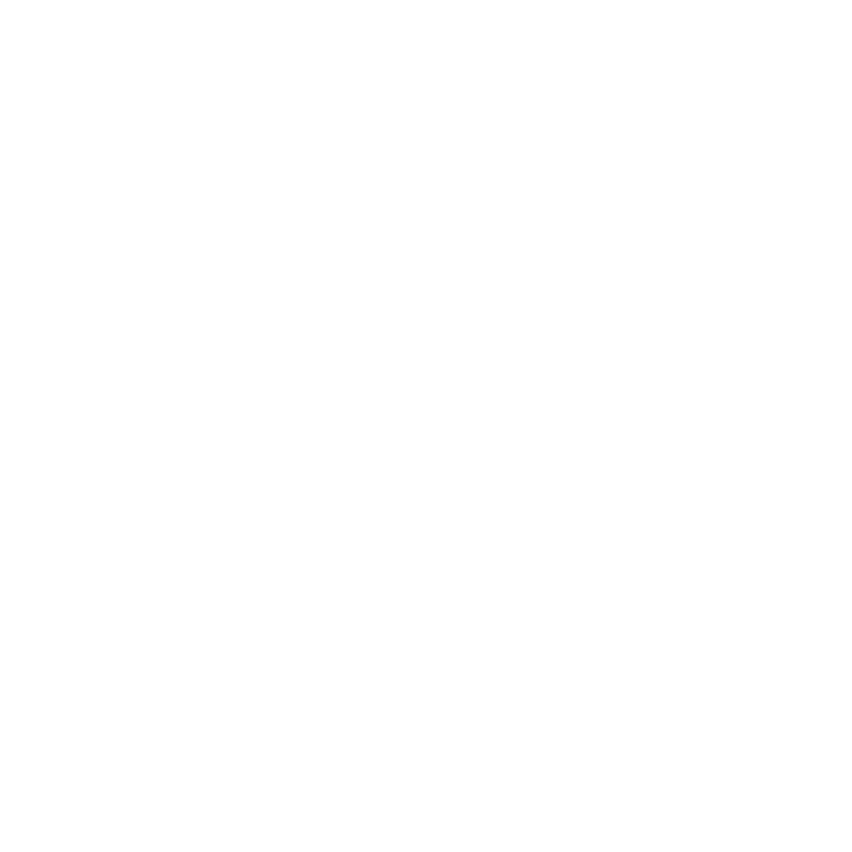 Sputnik Orbit Satellite Logo #ffffff