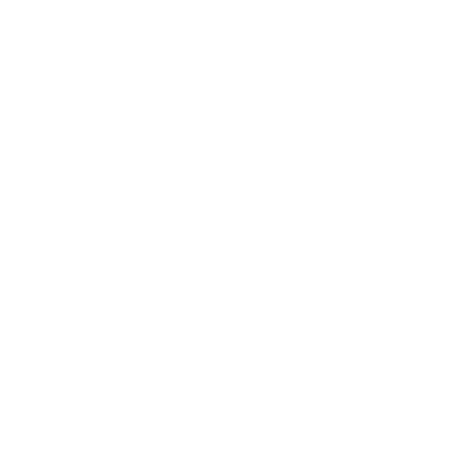 Geometric Brain Logo #ffffff