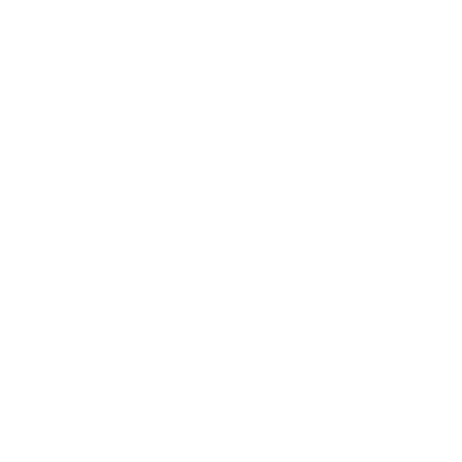 Storm Cloud Lightning Logo #ffffff