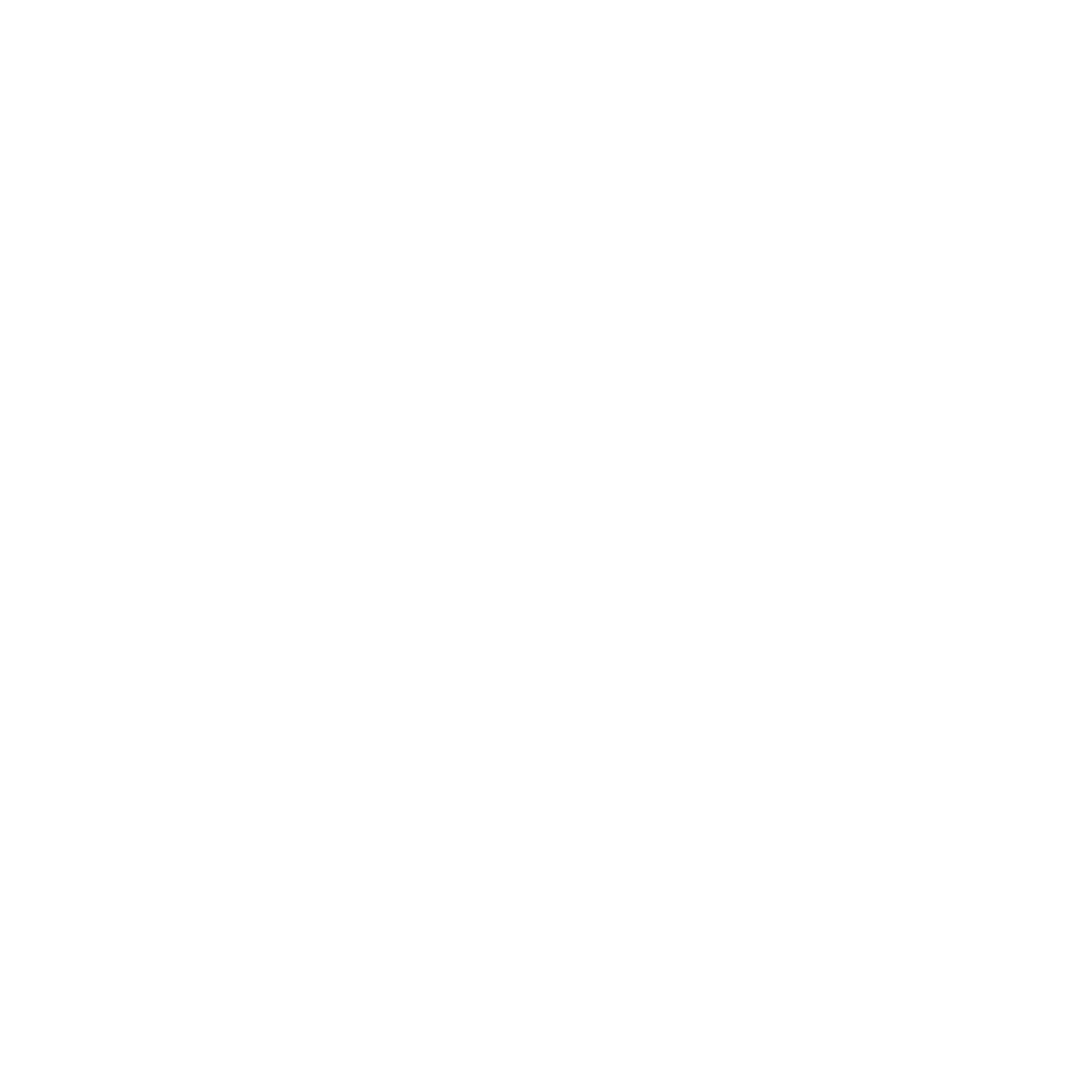 Four Point Star Compass Logo #ffffff