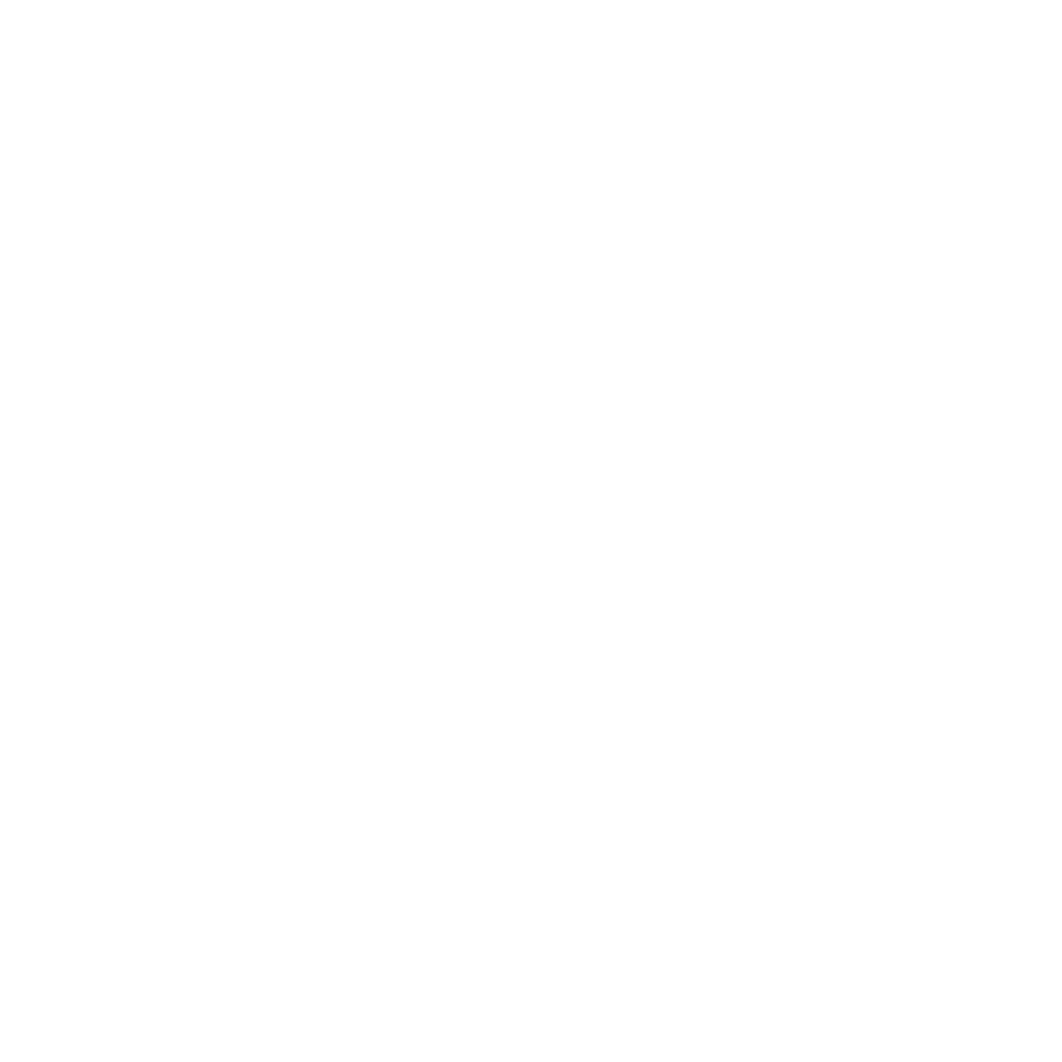 Compass Needle Circle Logo #ffffff