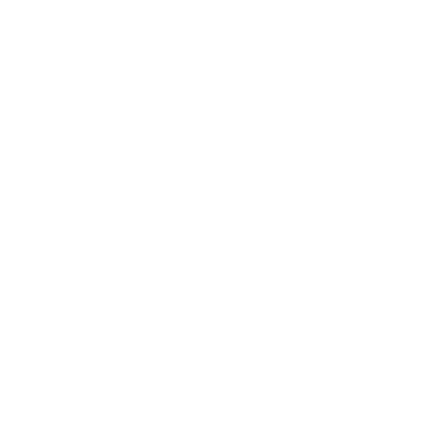 North Arrow Compass Logo #ffffff