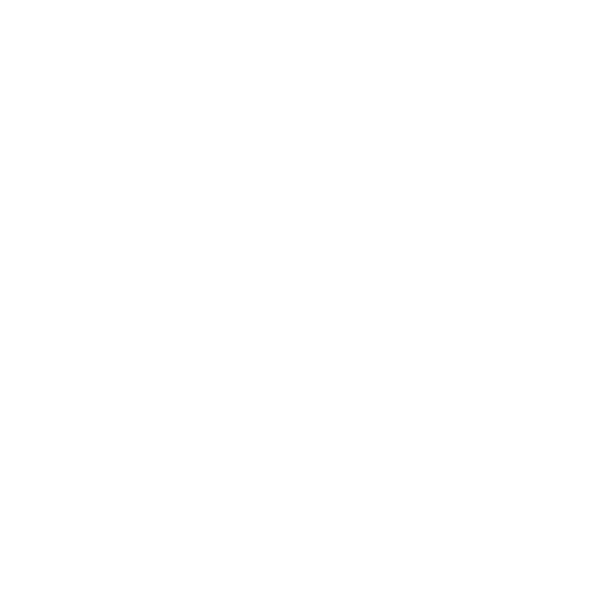 Compass Rose Direction Logo #ffffff