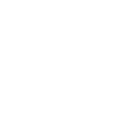 Compass Rose Direction Logo #ffffff