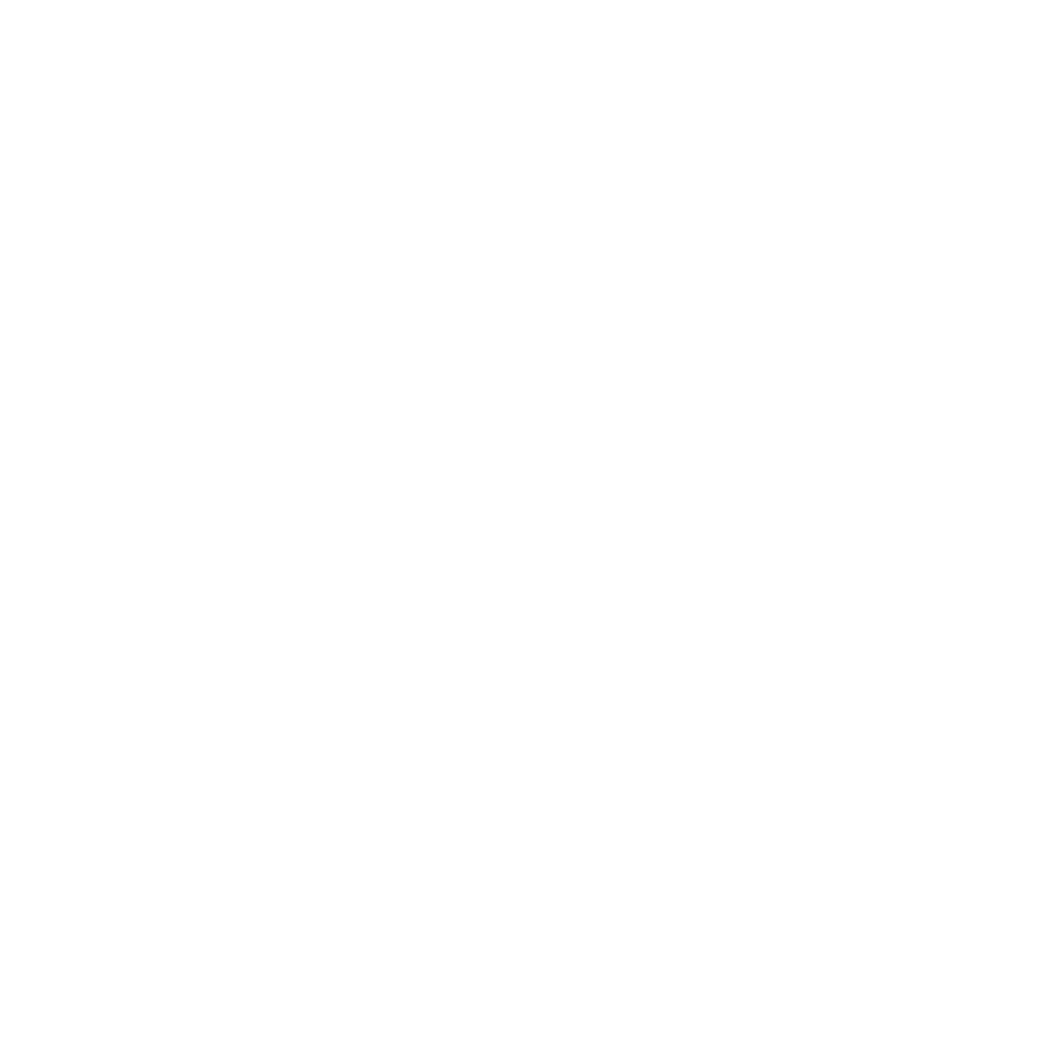 Crosshair Compass Logo #ffffff