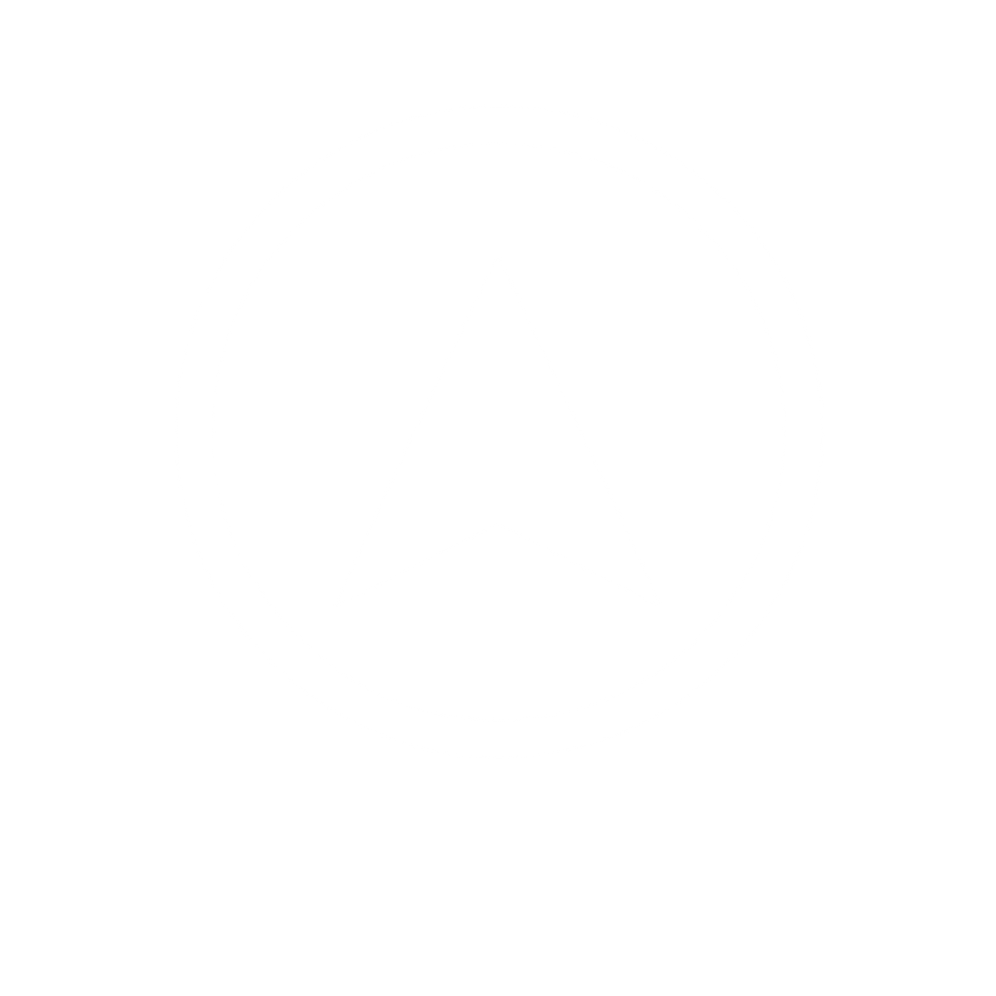 Compass Arrow Circle Logo #ffffff