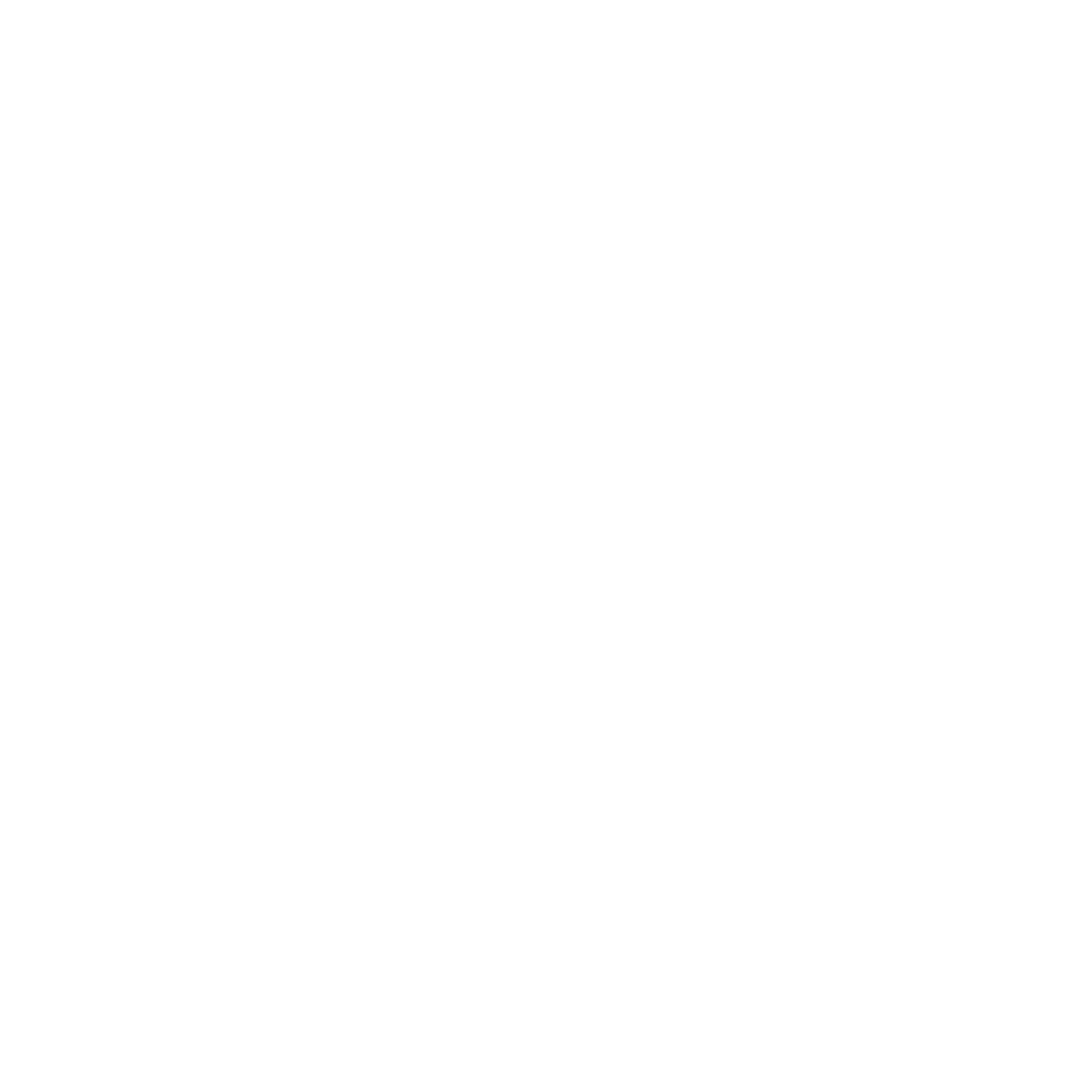 Compass Arrow Circle Logo #ffffff