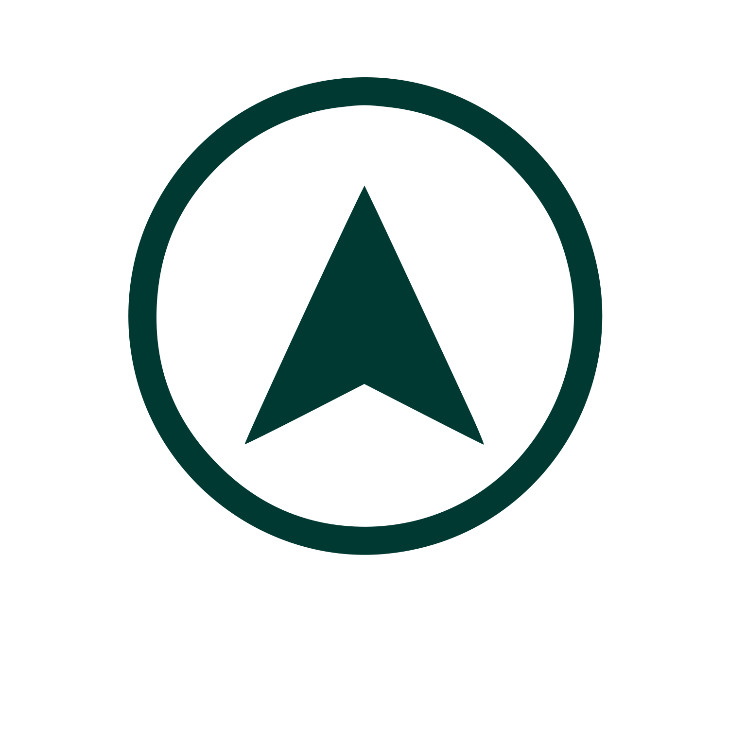Compass Arrow Circle Logo #003932