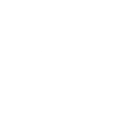 Compass Needle Pointer Logo #ffffff