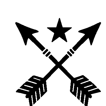 Crossed Arrows Star Logo
