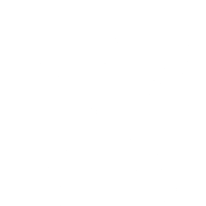 Crossed Arrows Star Logo #ffffff