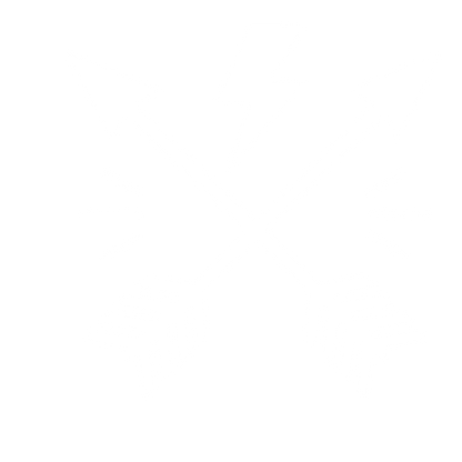 Crossed Arrows Lightning Logo #ffffff
