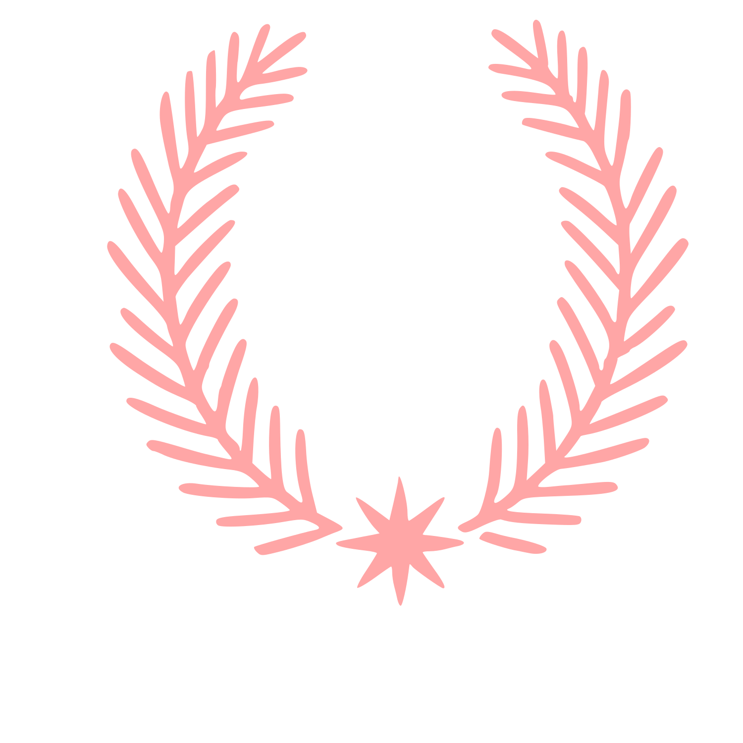 Laurel Wreath Star Logo #ffa6a6