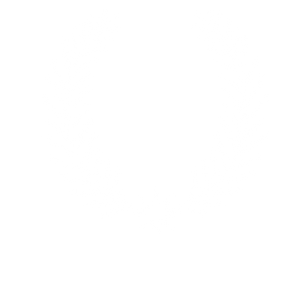 Laurel Wreath Star Logo #ffffff