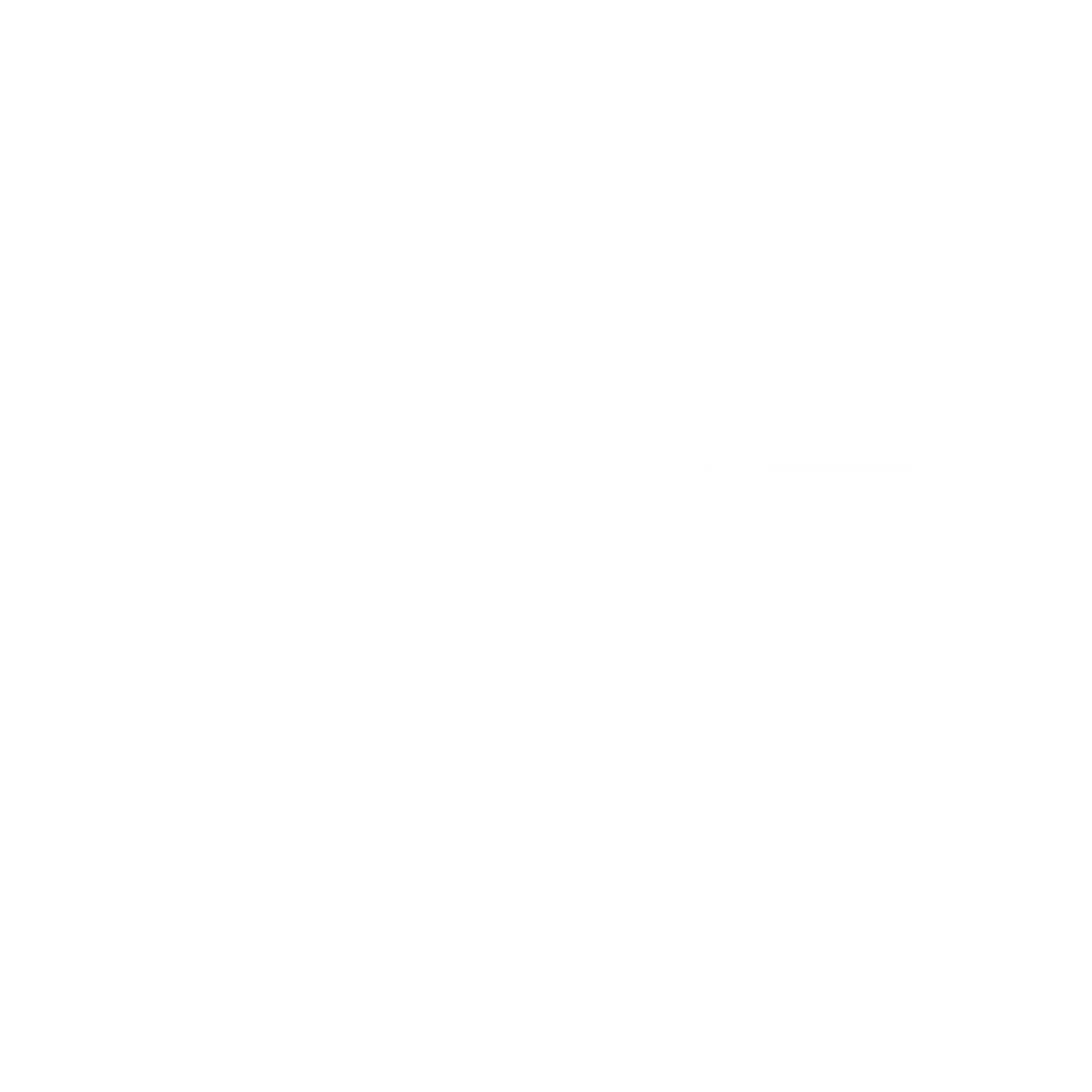 Wallet Logo Bold Icon #ffffff