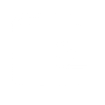 Wallet Logo Bold Icon #ffffff