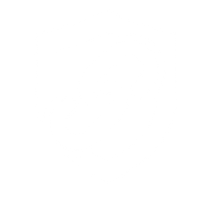 Chain Link Shield Logo #ffffff