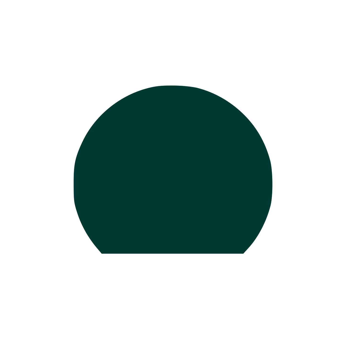 Dome Shape Logo #003932