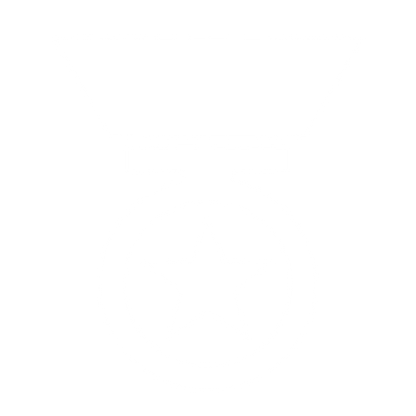Military Medal Star Logo #ffffff