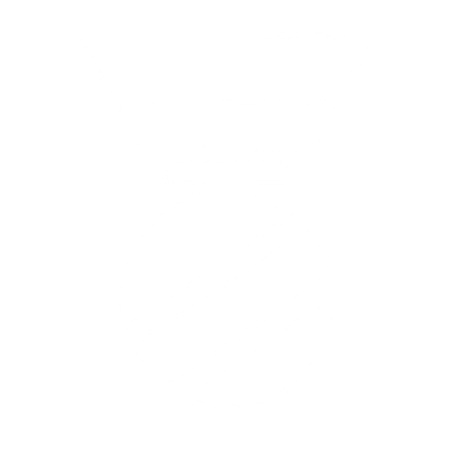 Military Medal Award Logo #ffffff