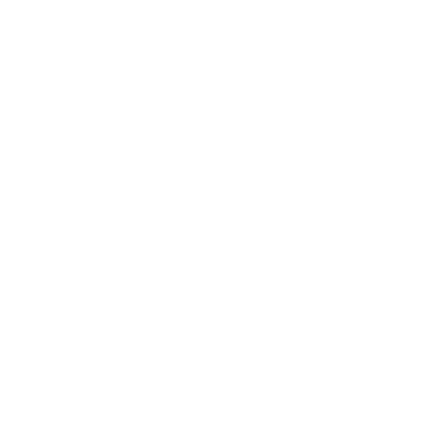 Military Medal Logo #ffffff